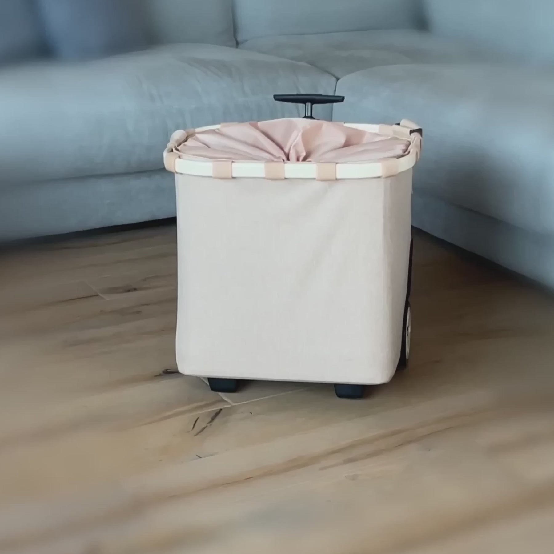 carrycruiser frame rhombus blue