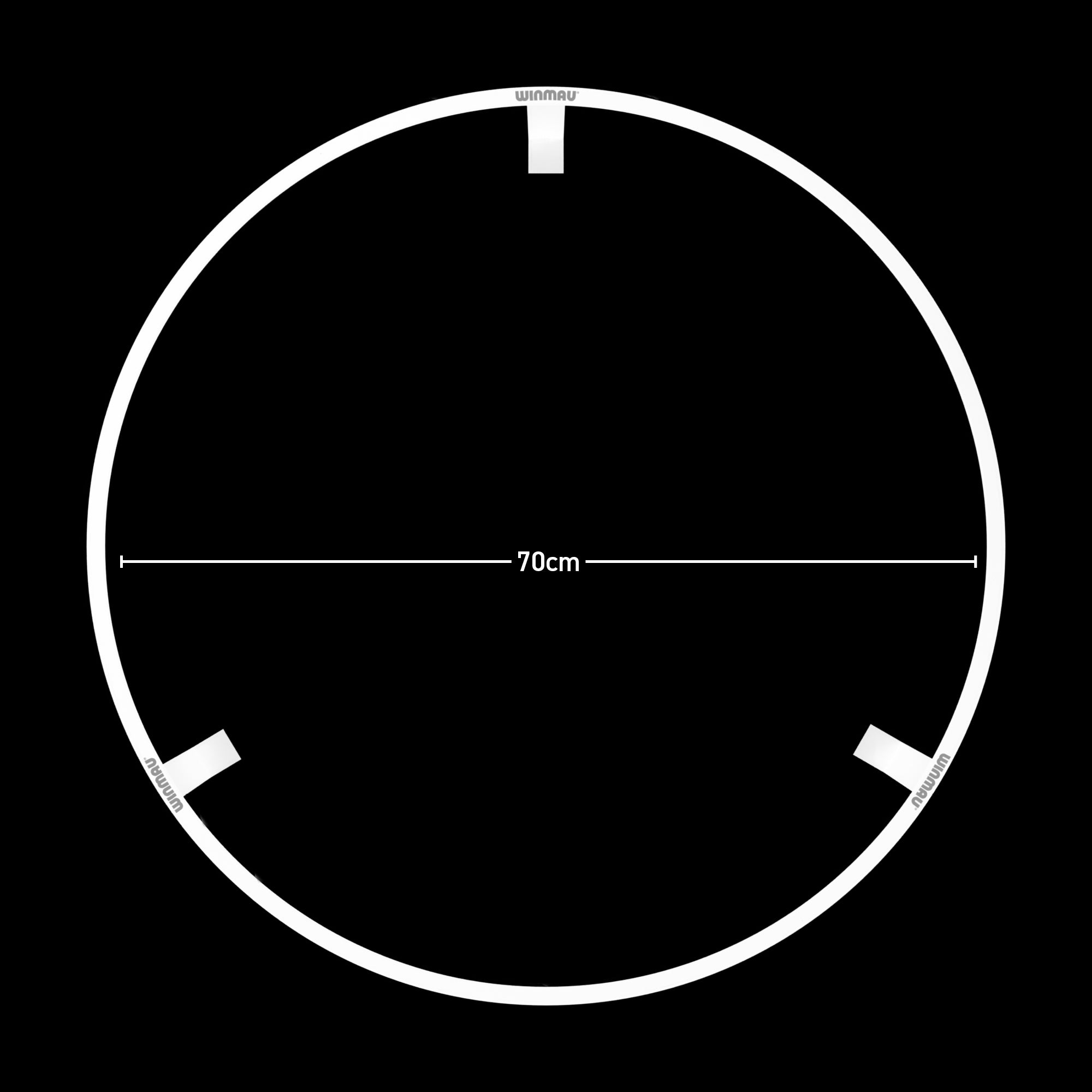 Plasma Ice Dartboard Light