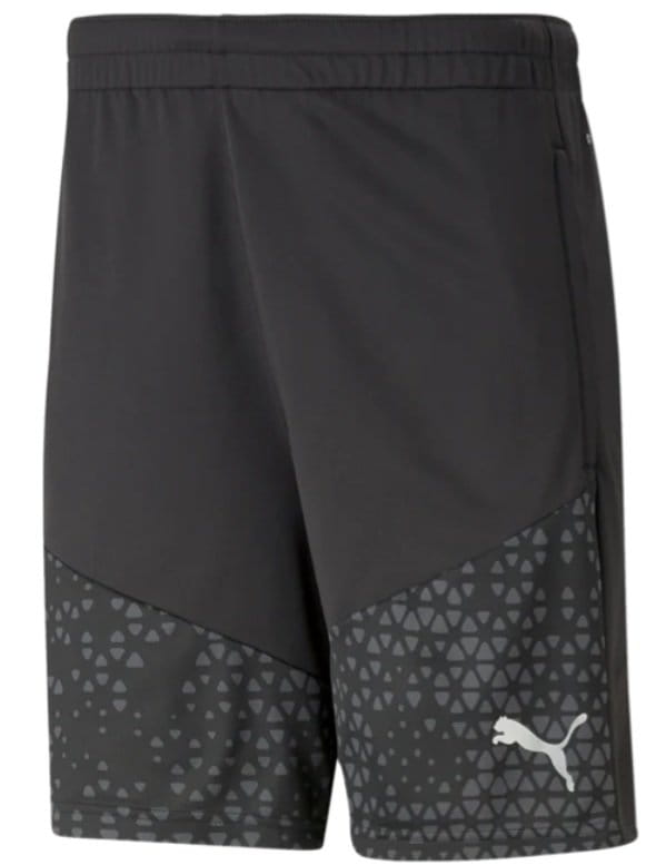 Puma teamCUP Training Shorts