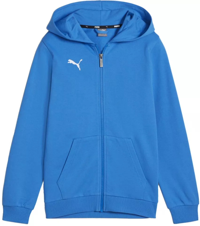 Hooded sweatshirt Puma teamGOAL Casuals Hoodie Kids