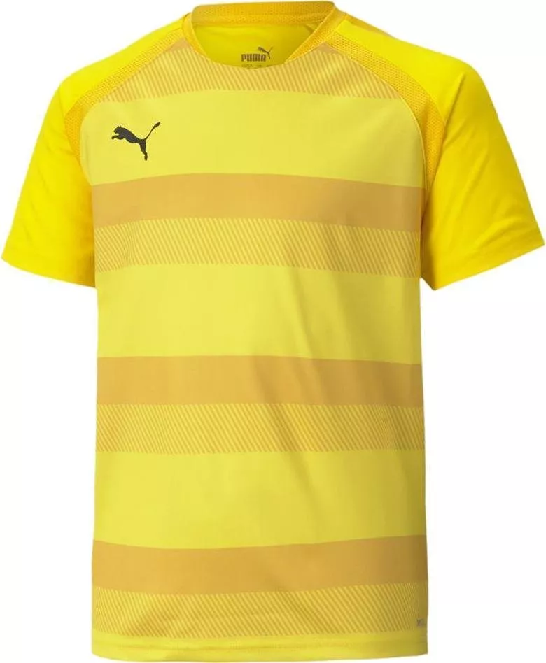 Puma teamVISION Jersey Jr