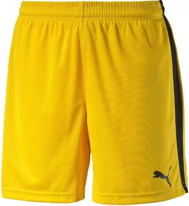 Puma Pitch Shorts WithInnerbrief Kids