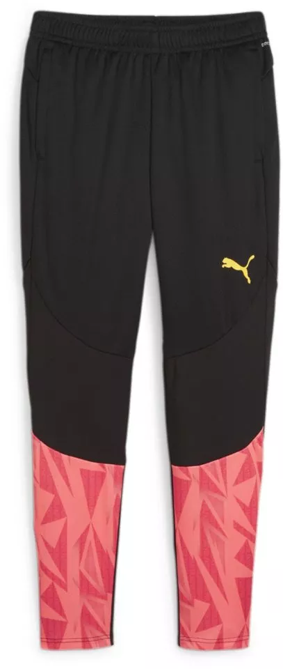 Puma individualFINAL FF. Training Pants