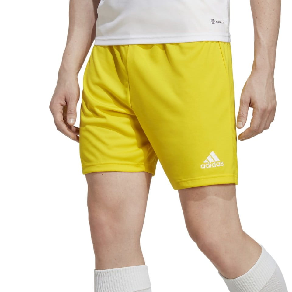 Shorts adidas ENT22 SHO