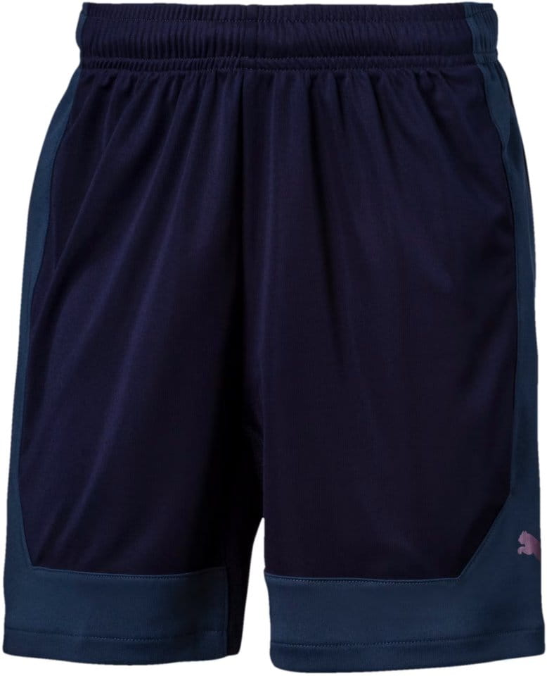 Puma ftblNXT Shorts Jr