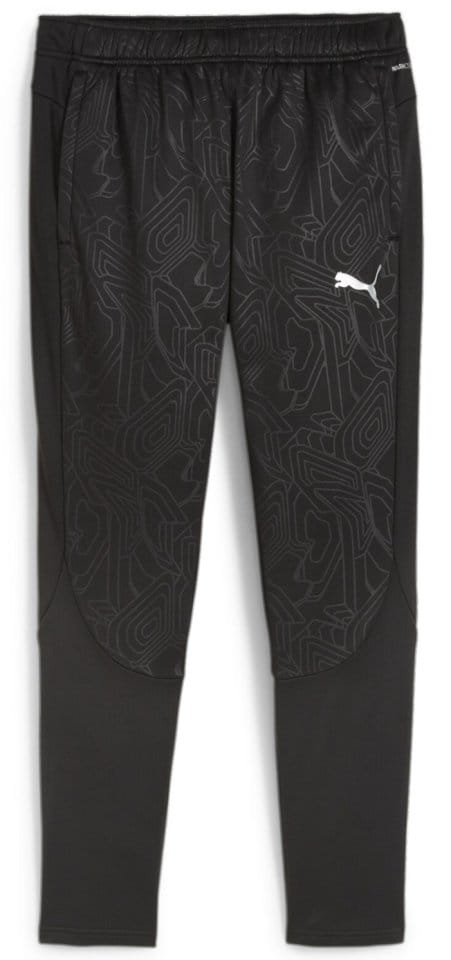 Pants Puma teamFINAL Warm Pant