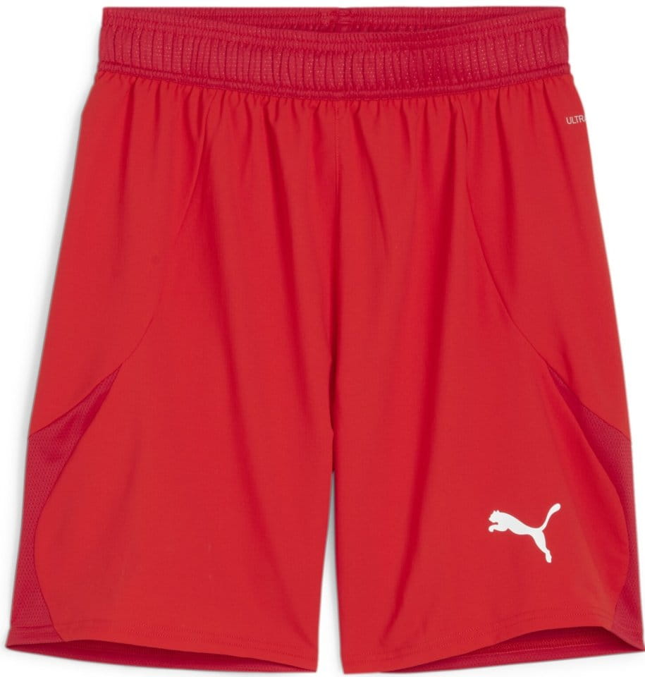 Puma teamFINAL Shorts