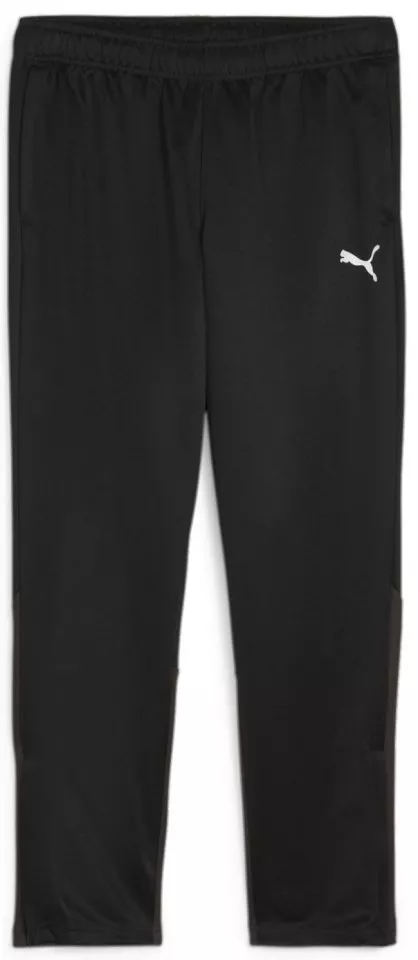 Pants Puma teamGOAL Training Pant Wmn