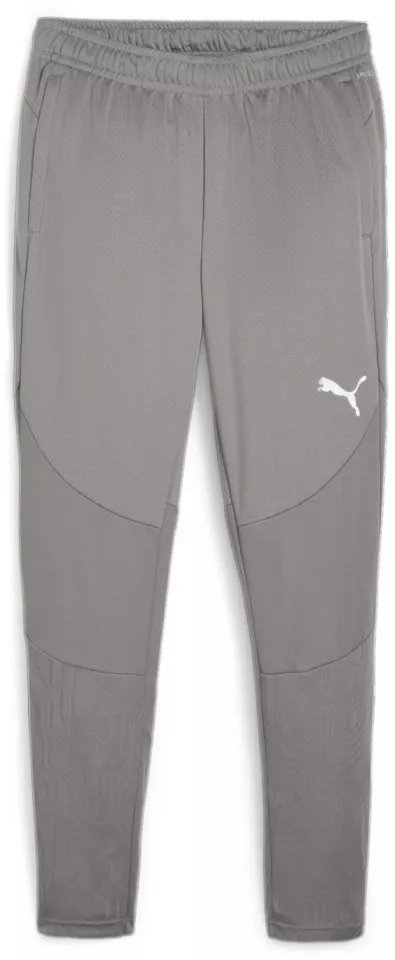 Puma teamFINAL Training Pants