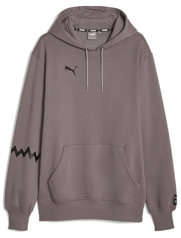 Hooded sweatshirt Puma Hoops Team