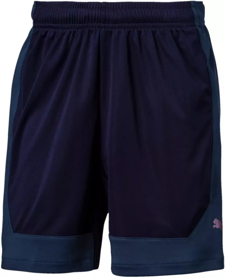 Puma ftblNXT Shorts Jr