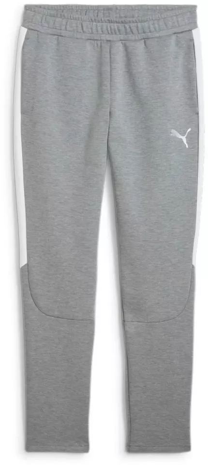 Puma teamEVOSTRIPE Pants