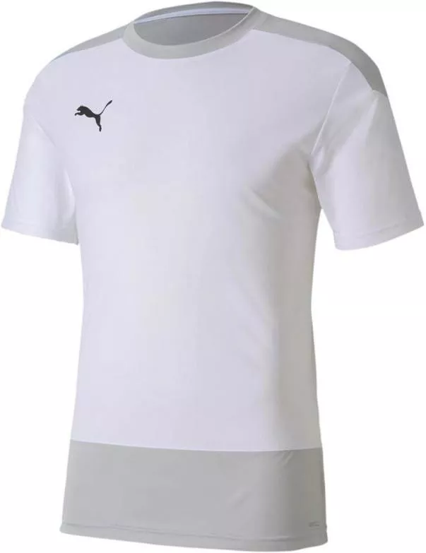 Puma teamGOAL 23 Training Jersey