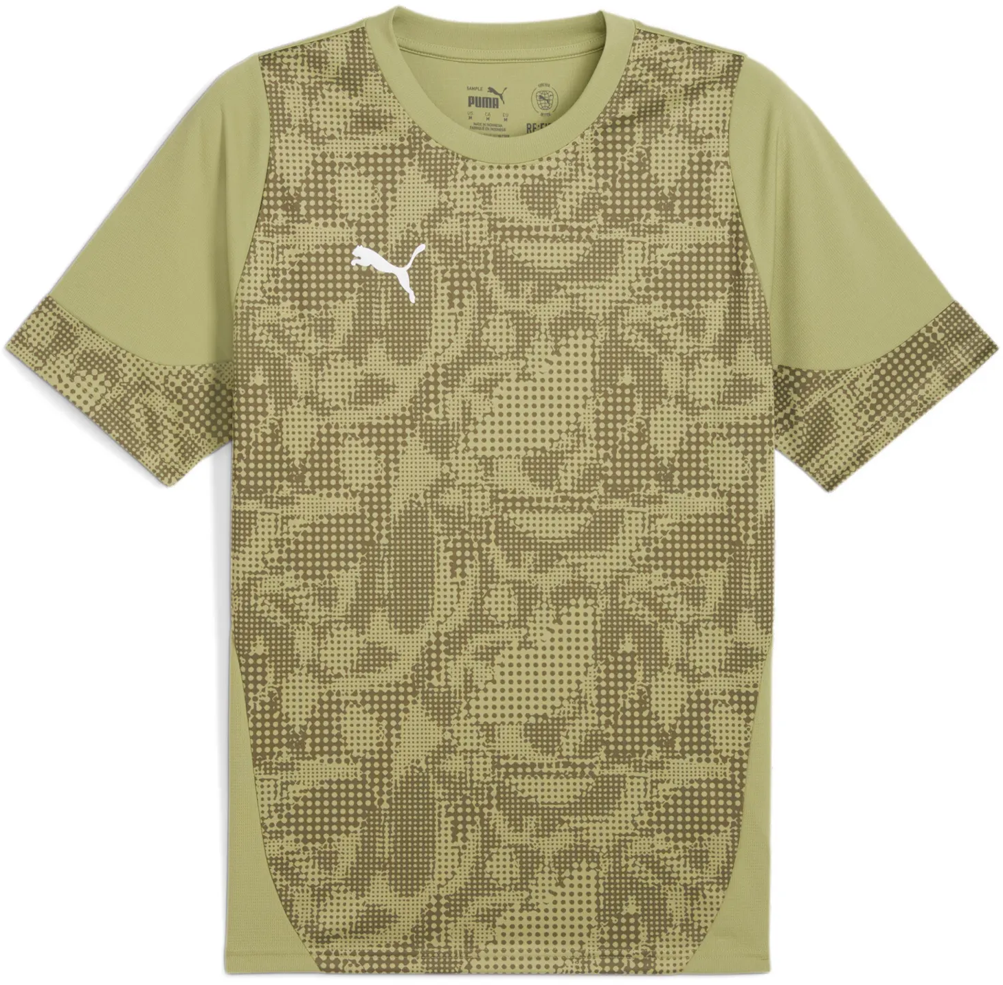 Puma teamCUP Training Jersey