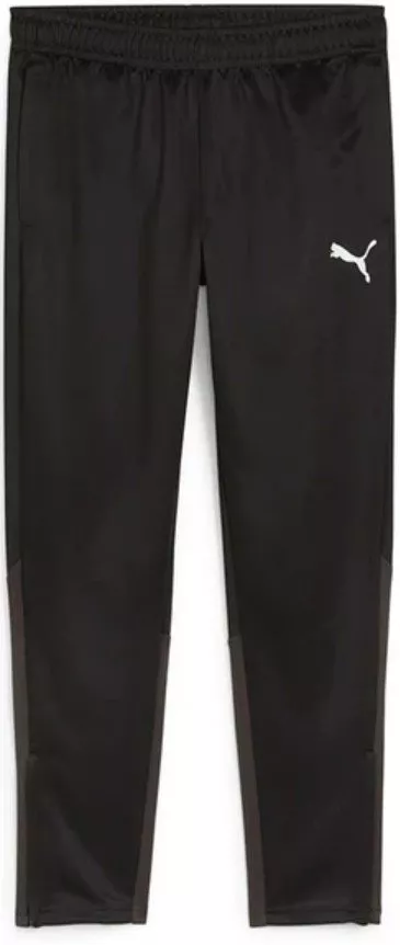 Pants Puma teamGOAL Training Pant