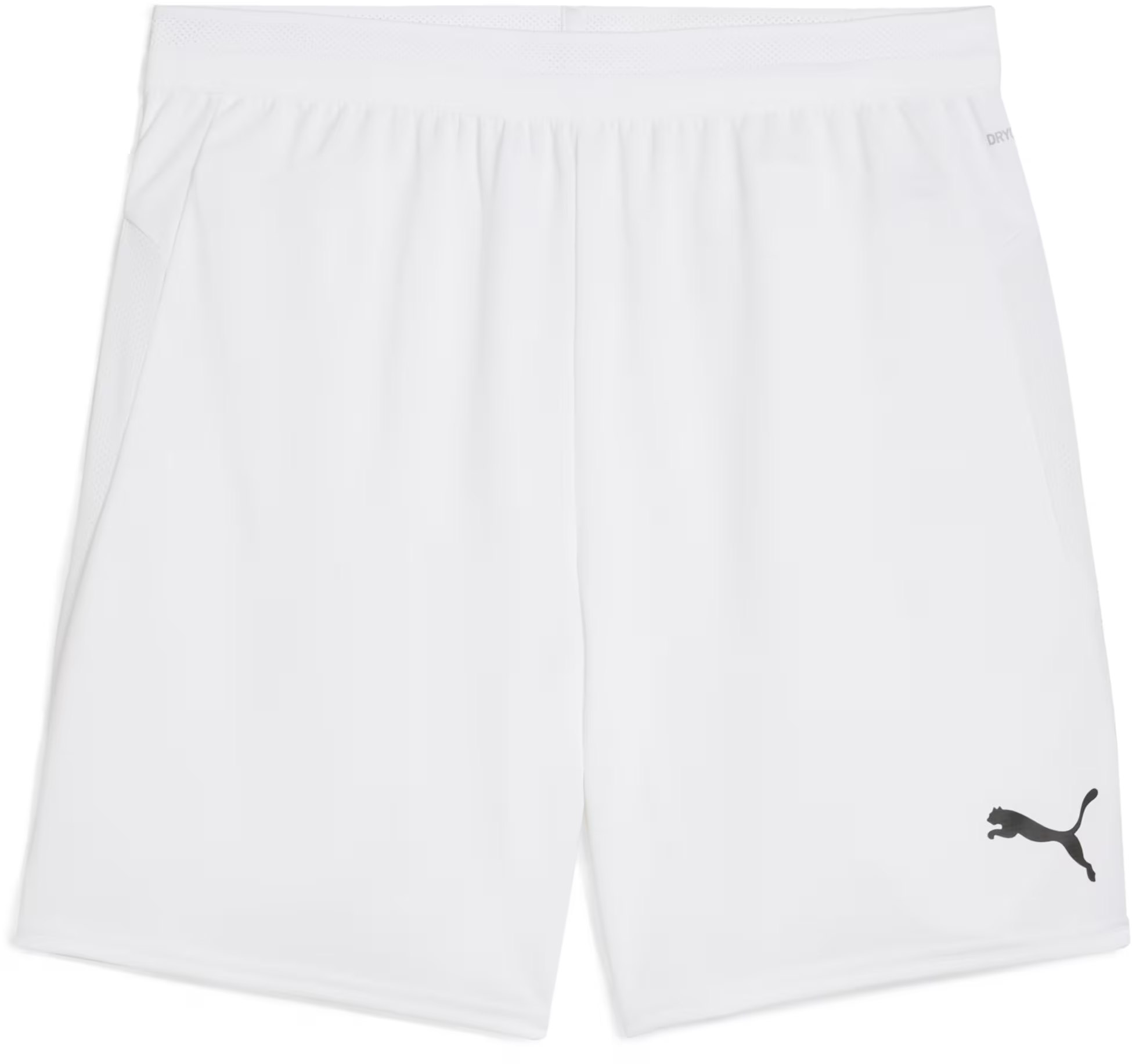 Puma teamCUP Shorts