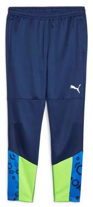 Puma individualCUP Training Pants