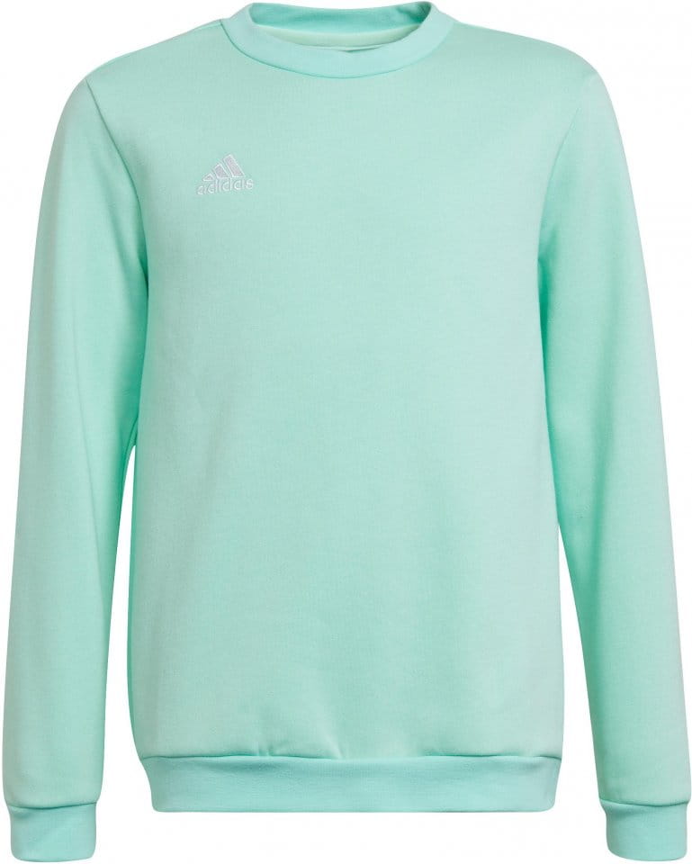 Sweatshirt adidas ENT22 SW TOPY
