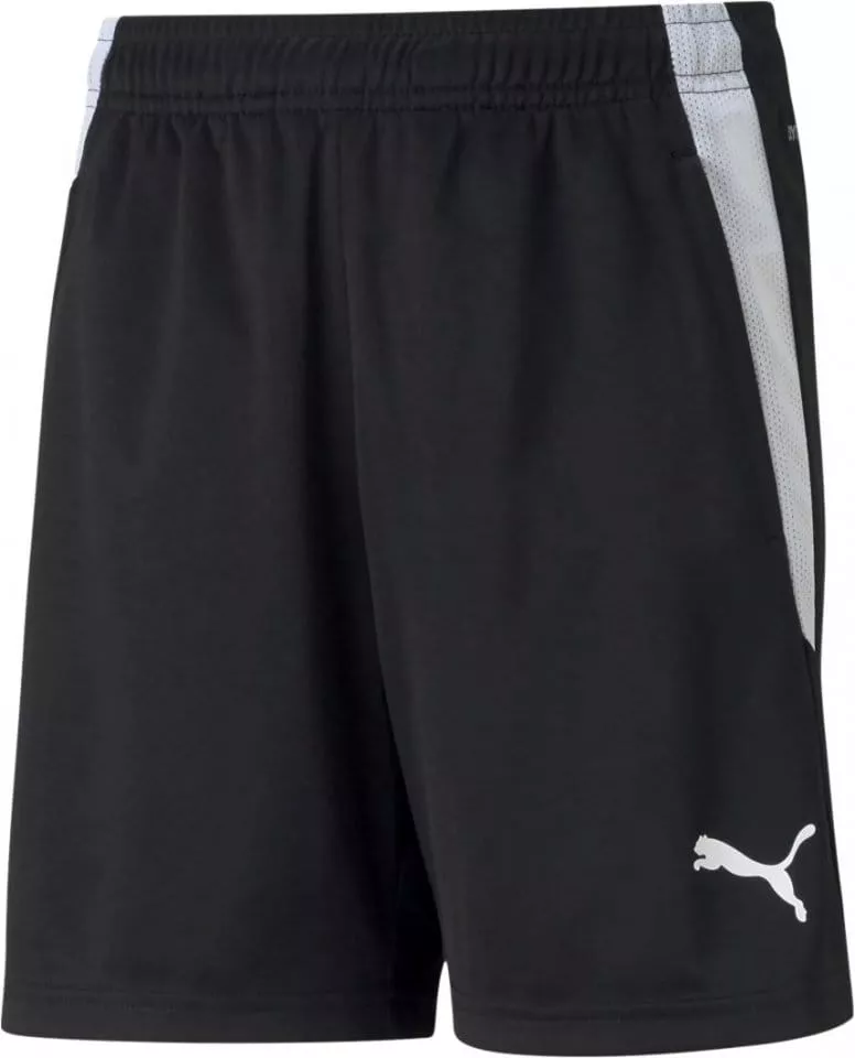 Puma teamLIGA Training Shorts Jr