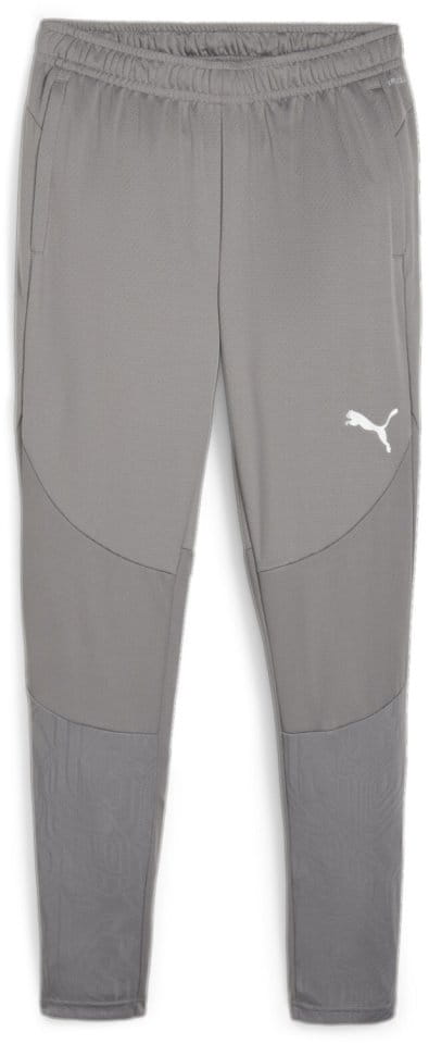 Puma teamFINAL Training Pants