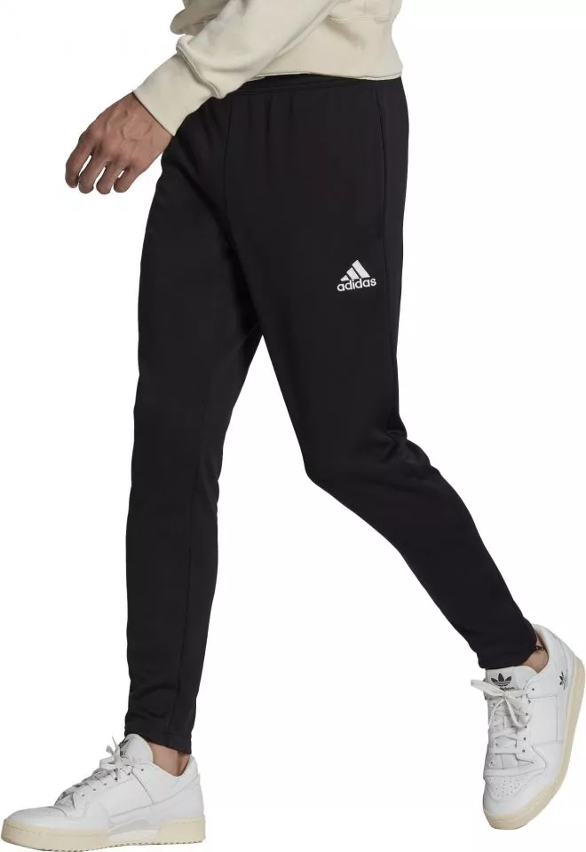 Pants adidas ENT22 TR PNT
