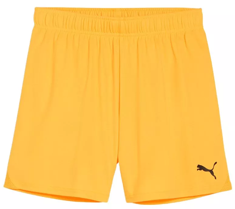 Puma teamGOAL Shorts Wmns