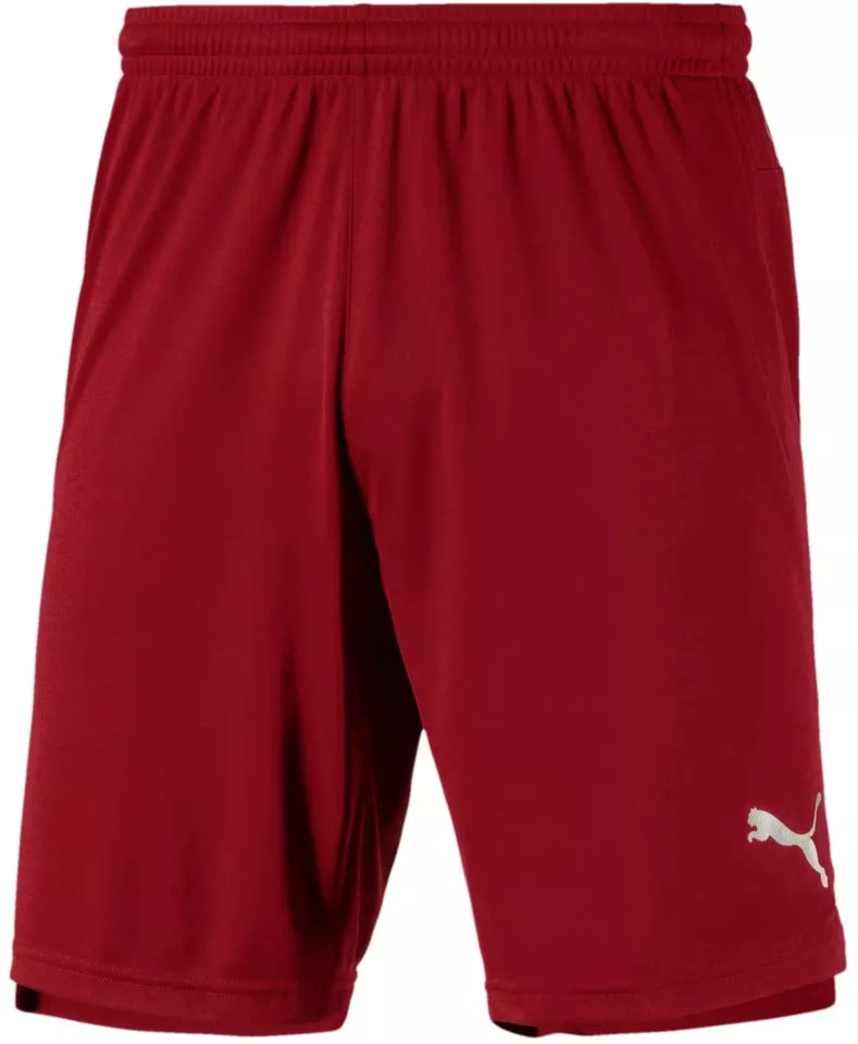 Puma ftblNXT Shorts