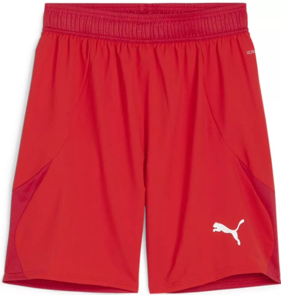 Puma teamFINAL Shorts