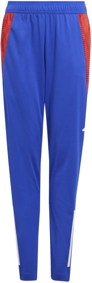 Pants adidas TIRO24 C TRPNTY