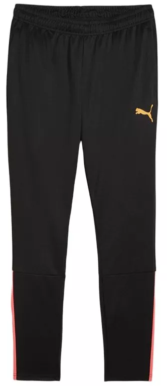 Puma teamLIGA Training Pants