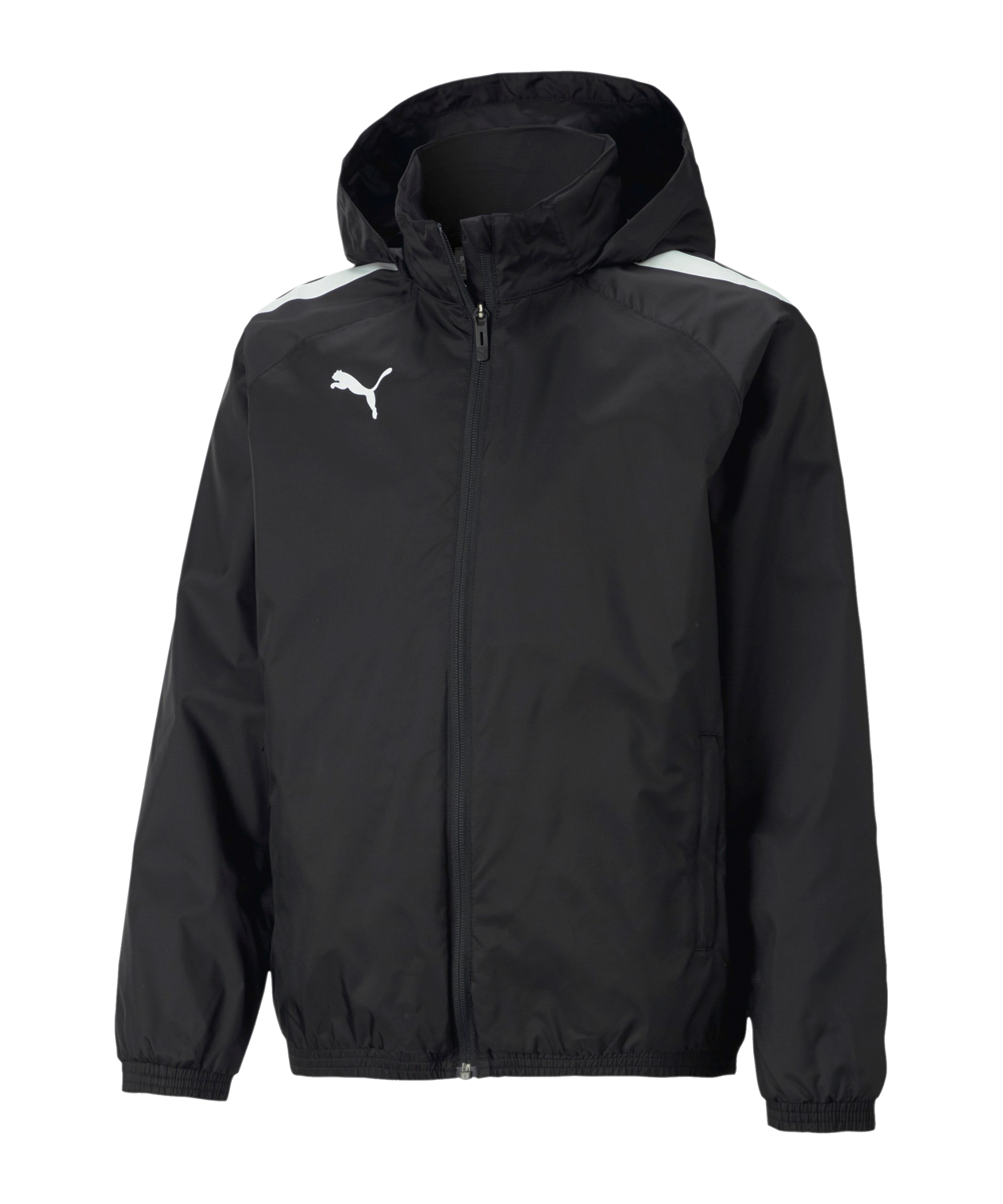 Hooded jacket Puma teamLIGA All Weather Jkt Jr