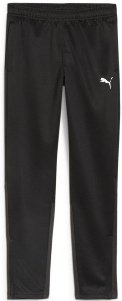 Pants Puma teamGOAL Training Pant Jr