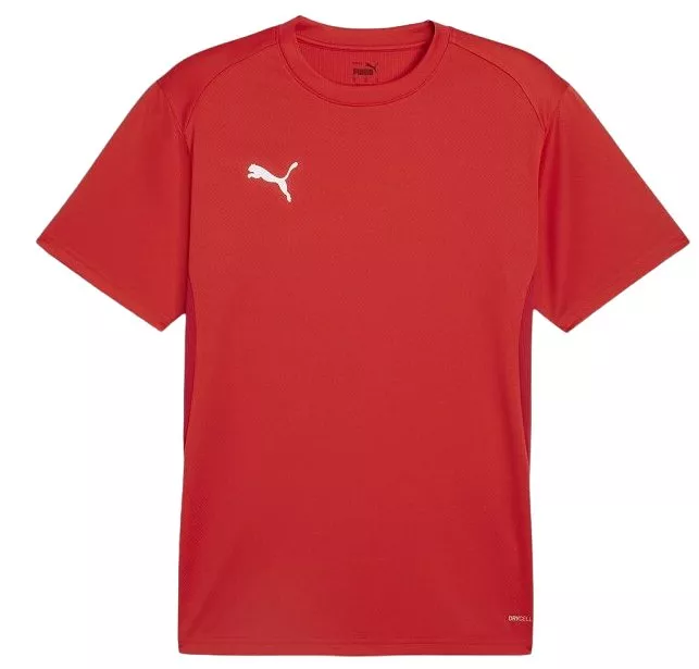 Puma teamGOAL T-Shirt