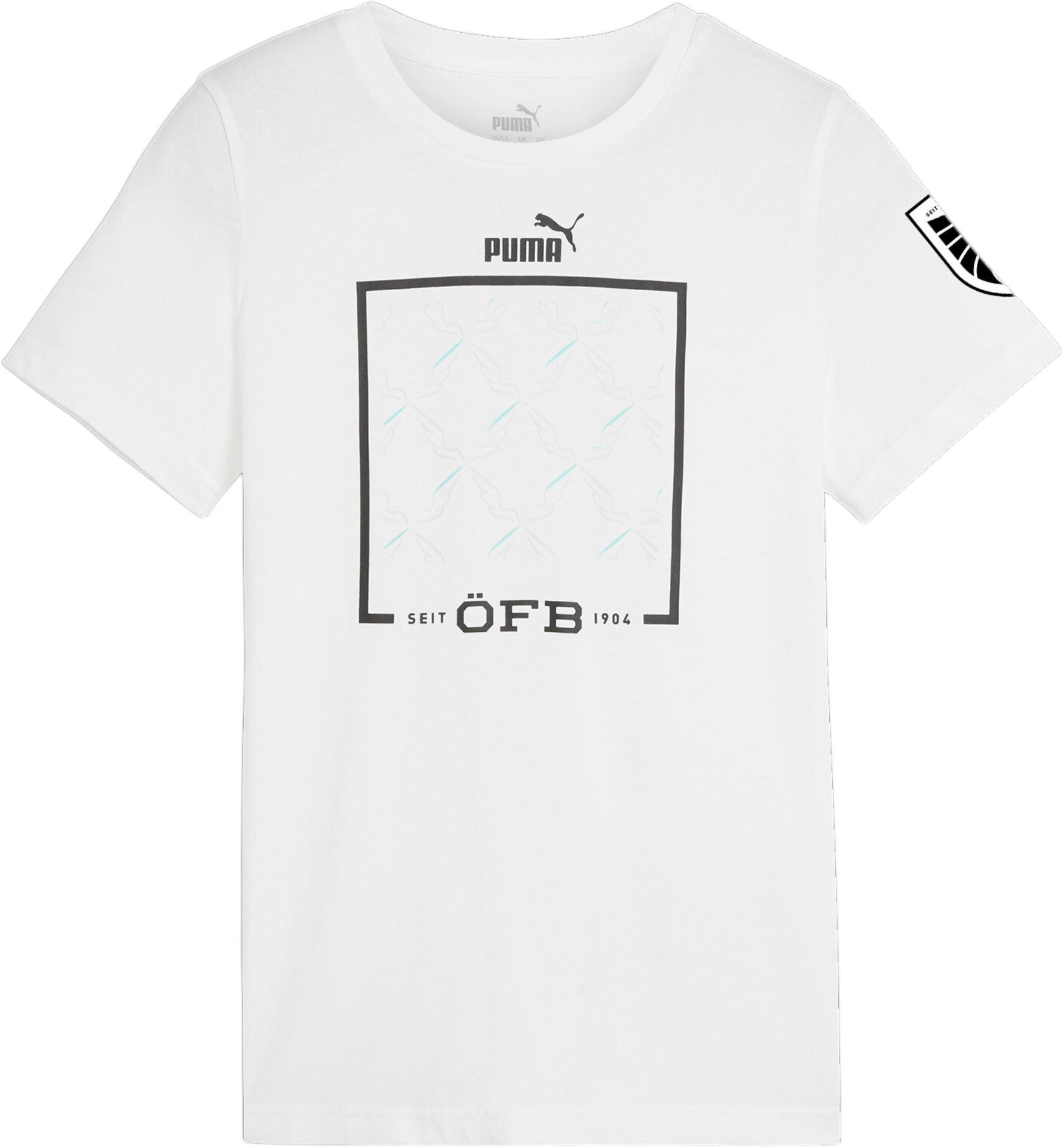 T-shirt Puma Austria Ftblicons Tee Jr