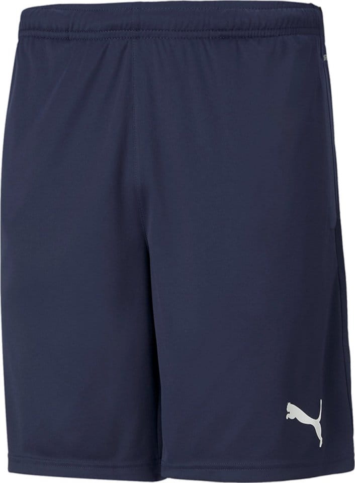 Puma teamRISE Training Shorts