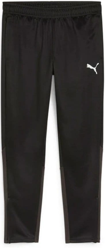 Pants Puma teamGOAL Training Pant