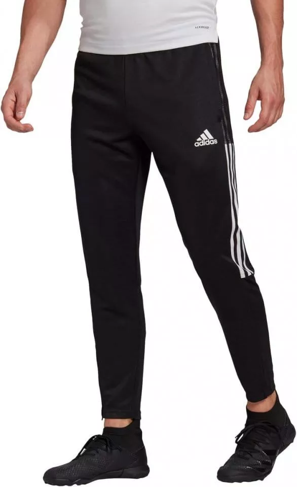 Pants adidas TIRO21 TR PNT