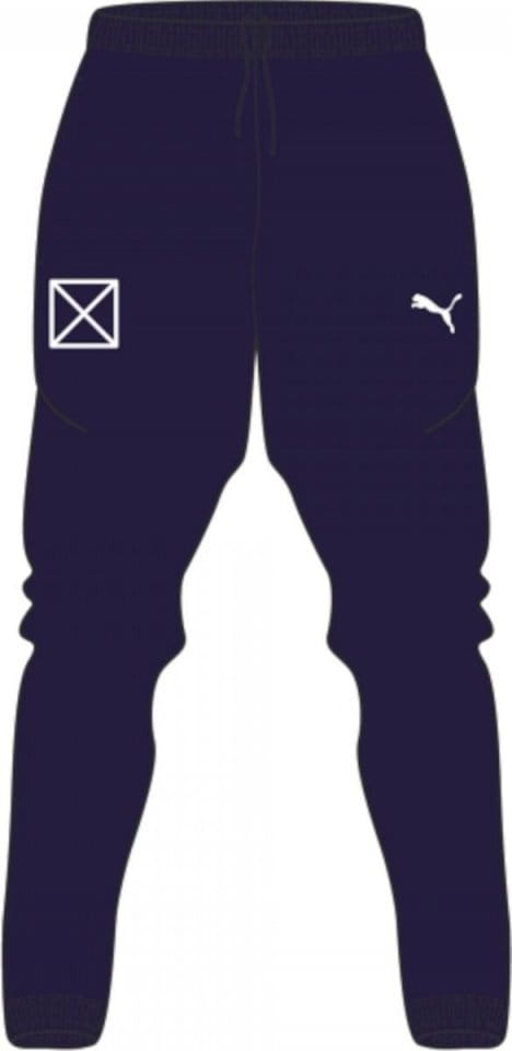 Puma teamRISE Poly Trg Pants Jr