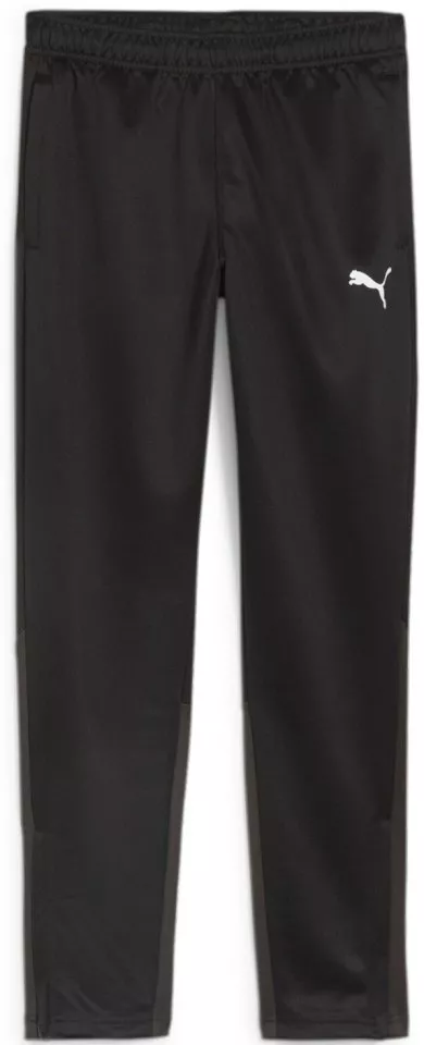 Pants Puma teamGOAL Training Pant Jr