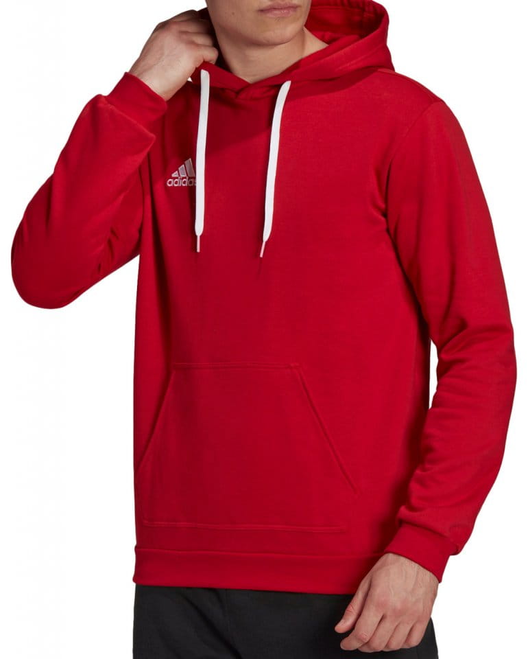 Hooded sweatshirt adidas Entrada 22 Sweat