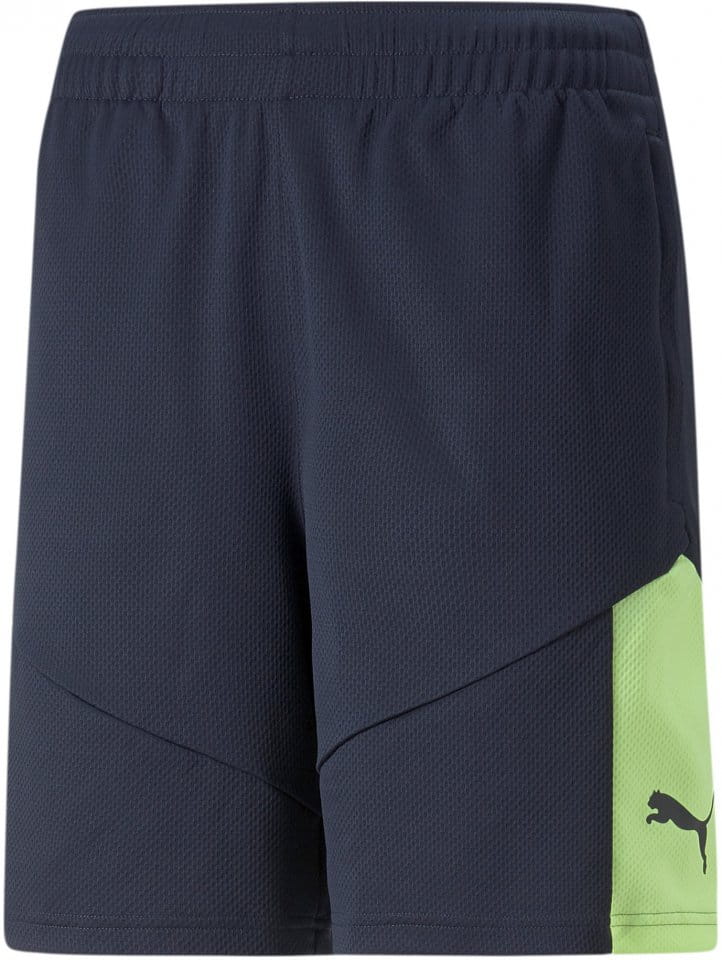 Puma individualFINAL Training Shorts