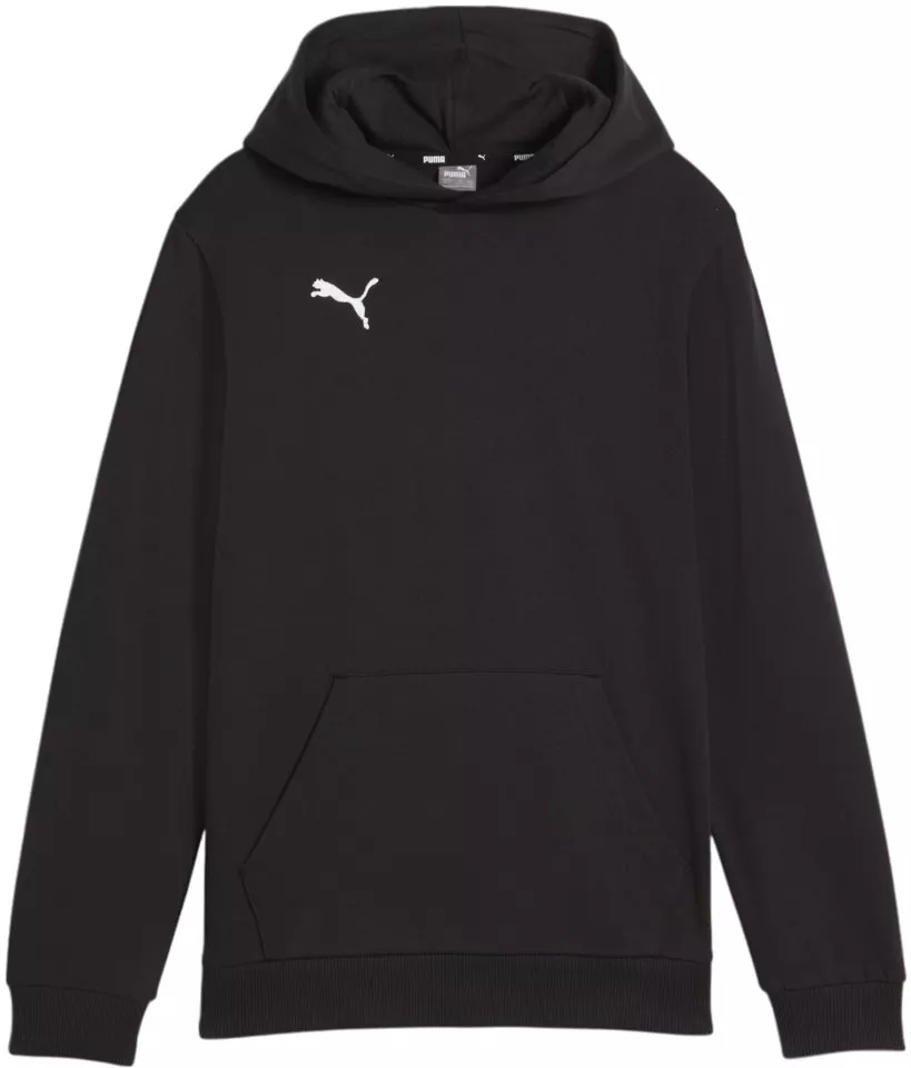 Hooded sweatshirt Puma teamGOAL Casuals Hoody Kids