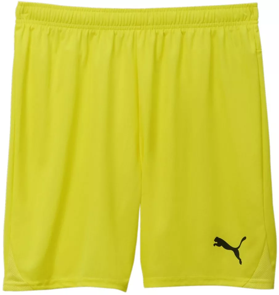 Puma teamGOAL Shorts