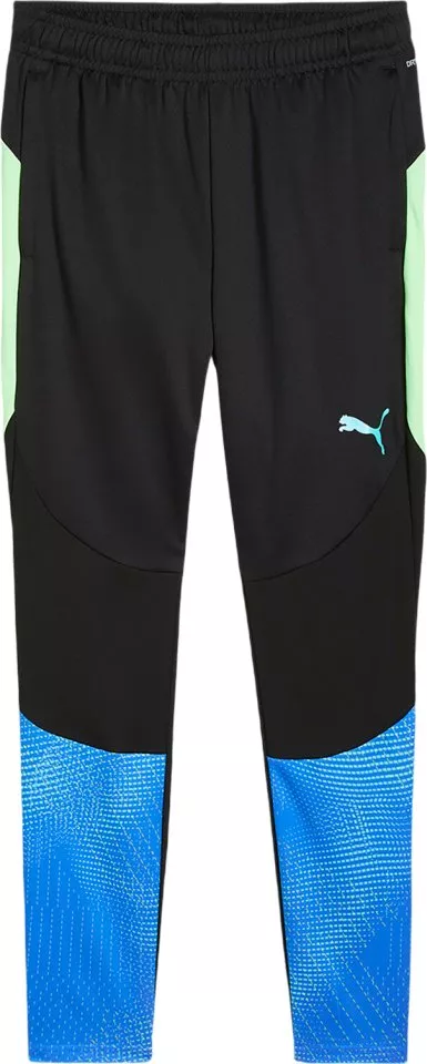 Puma individualFINAL Training Pants