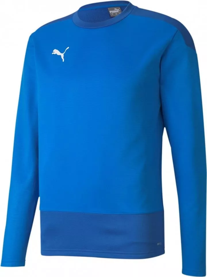 Sweatshirt Puma teamGOAL 23 Training Sweat Jr