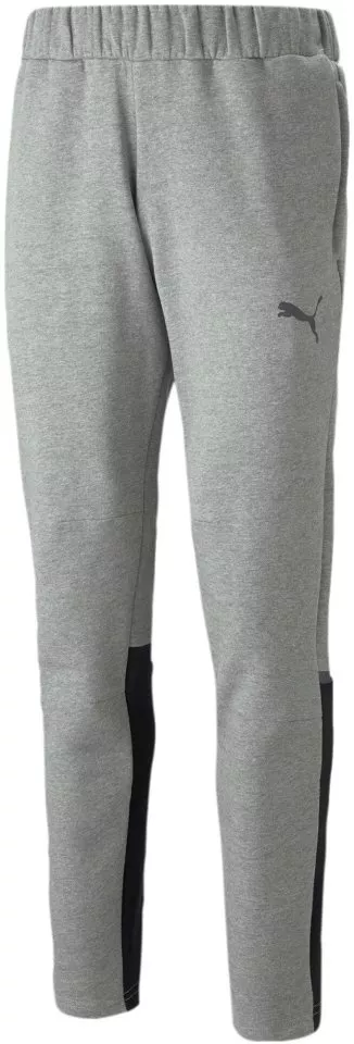 Puma teamCUP Casuals Pants