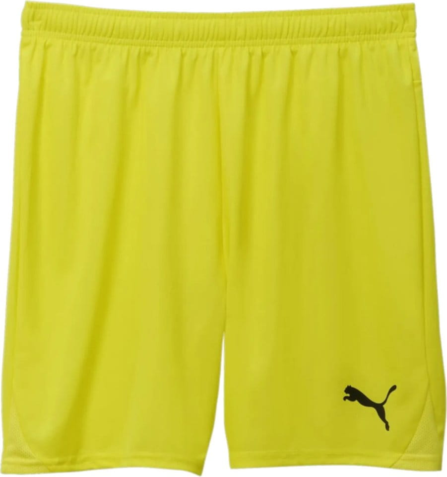Puma teamGOAL Shorts Jr