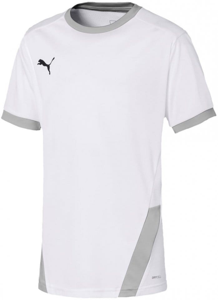 Puma teamFINAL Training Jersey