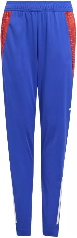 Pants adidas TIRO24 C TRPNTY