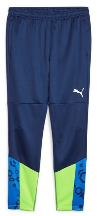 Puma individualCUP Training Pants